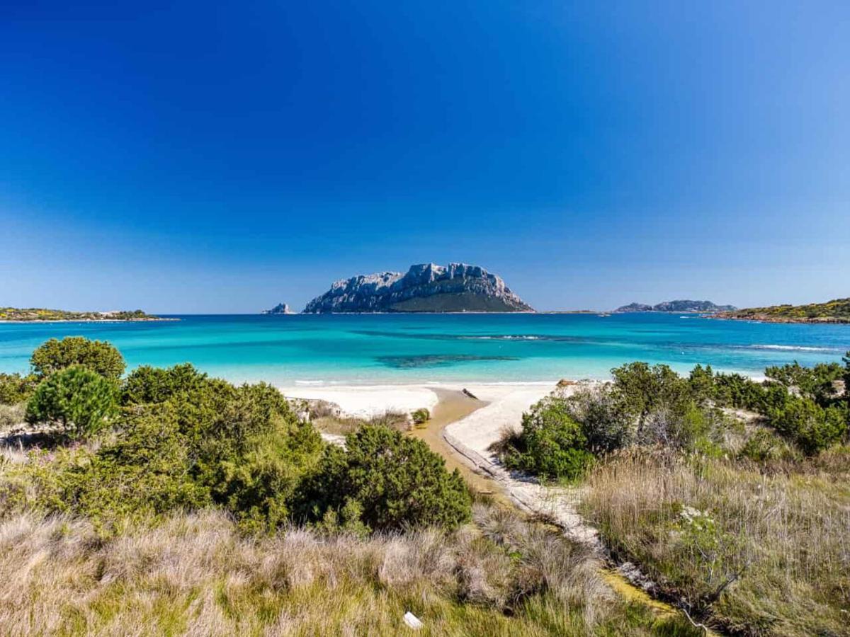 Attico Vespucci Luxury Penthouse Daire Olbia Dış mekan fotoğraf